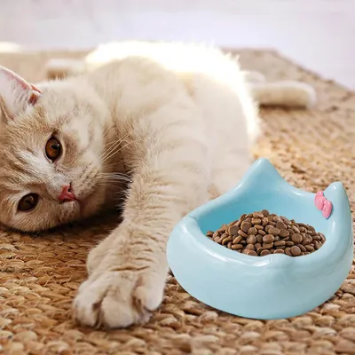 Gamelle en céramique pour chat - Motif tête de chat avec nœud