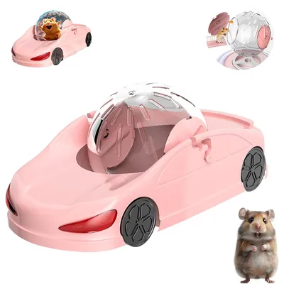 Voiture de sport avec ballon d'exercice pour hamster