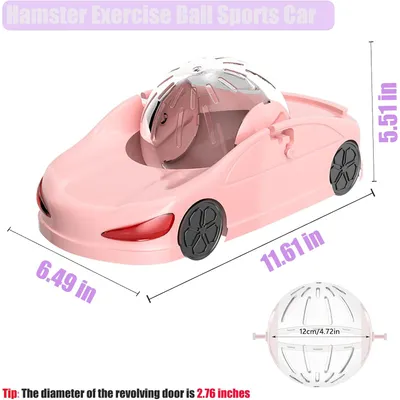 Voiture de sport avec ballon d'exercice pour hamster