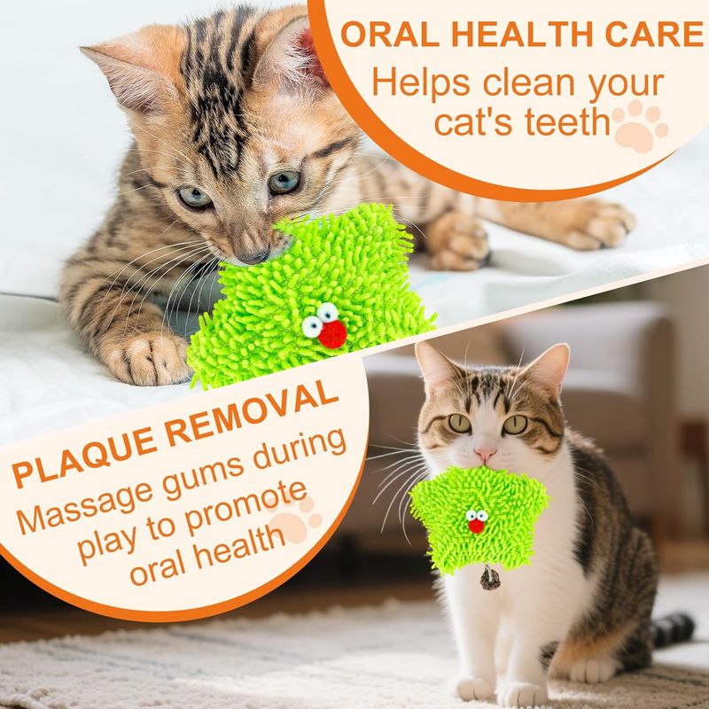 Jouet pour chat à l'herbe à chat - Étoile de mer verte