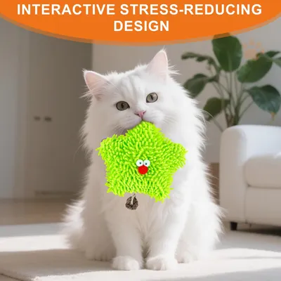 Jouet pour chat à l'herbe à chat - Étoile de mer verte