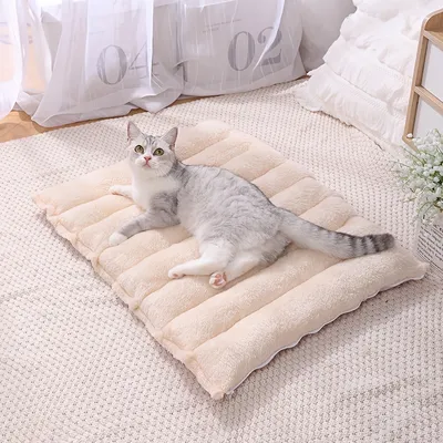 Tapis de couchage chaud pour chat, tunnel pour chat