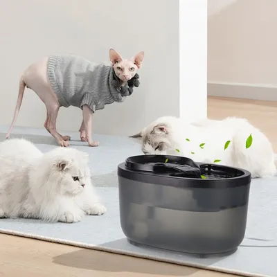 KPYTE Distributeur d'eau intelligent pour chat