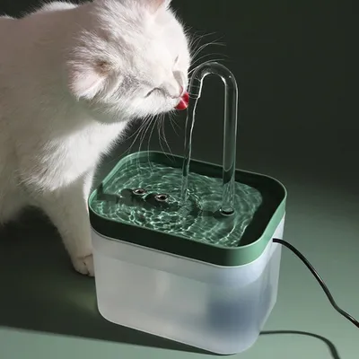 KPYTE Distributeur d'eau automatique à circulation pour chat