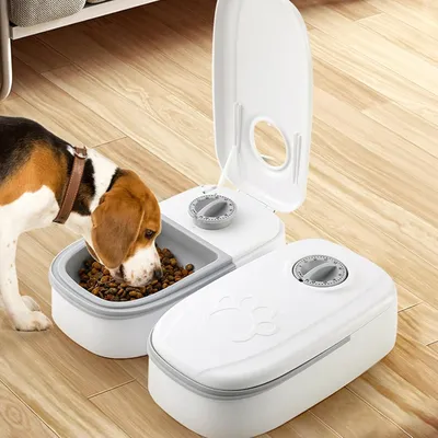 KPYTE Distributeur de nourriture pour chat avec minuterie