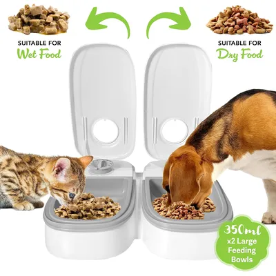 KPYTE Distributeur de nourriture pour chat avec minuterie