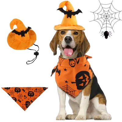 IntiMeg Costume d'Halloween avec chapeau de chauve pour chien IntiMeg Costume d'Halloween avec chapeau de chauve pour chien