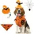 IntiMeg Costume d'Halloween avec chapeau de chauve pour chien IntiMeg Costume d'Halloween avec chapeau de chauve pour chien