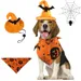IntiMeg Costume d'Halloween avec chapeau de chauve pour chien