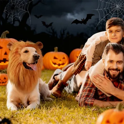Halloween: Löwenkostüm mit Mähne und Ohren für Hunde Halloween: Löwenkostüm mit Mähne und Ohren für Hunde