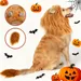 Halloween: Löwenkostüm mit Mähne und Ohren für Hunde