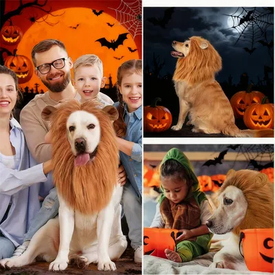 Halloween: Löwenkostüm mit Mähne und Ohren für Hunde Halloween: Löwenkostüm mit Mähne und Ohren für Hunde