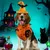 IntiMeg  Halloween-Kostüm mit Fledermaus-Hut für Hunde