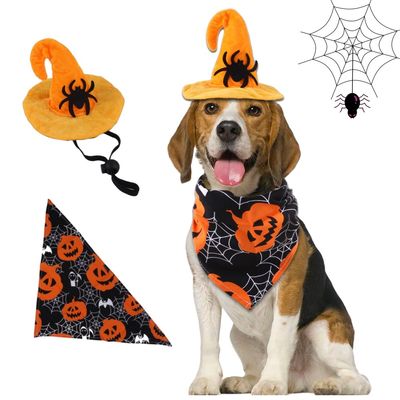 IntiMeg  Costume d'Halloween avec chapeau de chauve pour chien