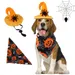 IntiMeg Halloween-Kostüm mit Fledermaus-Hut für Hunde