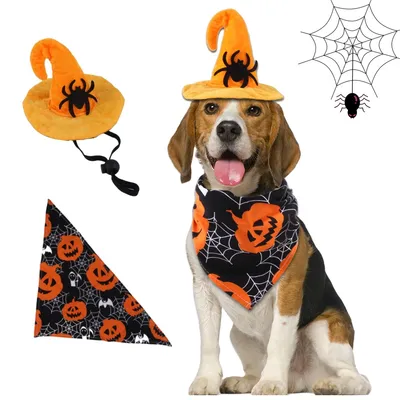 IntiMeg Costume d'Halloween avec chapeau de chauve pour chien IntiMeg Costume d'Halloween avec chapeau de chauve pour chien