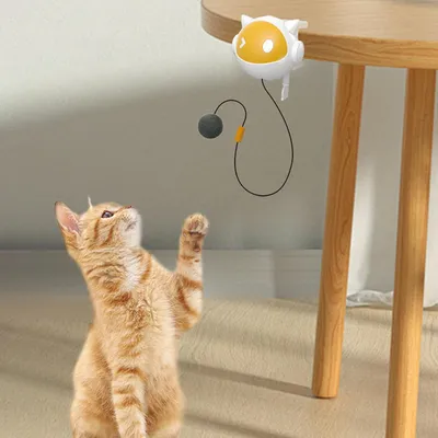 KPYTE Jouet pour chat auto-divertissant