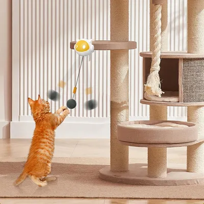 KPYTE Jouet pour chat auto-divertissant