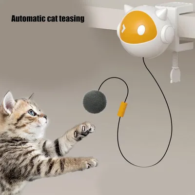 KPYTE Jouet pour chat auto-divertissant
