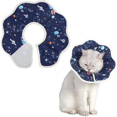 KPYTE Collier de récupération pour chat