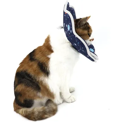 KPYTE Collier de récupération pour chat