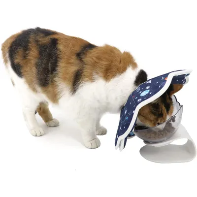 KPYTE Collier de récupération pour chat