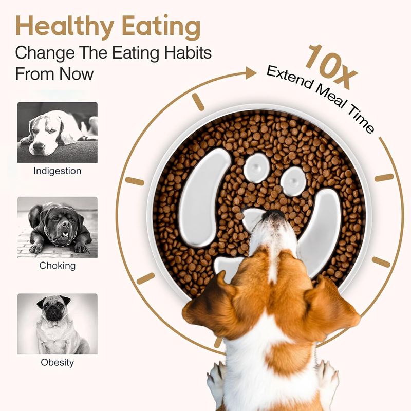 KPYTE Gamelle antidérapante en acier inoxydable pour chien