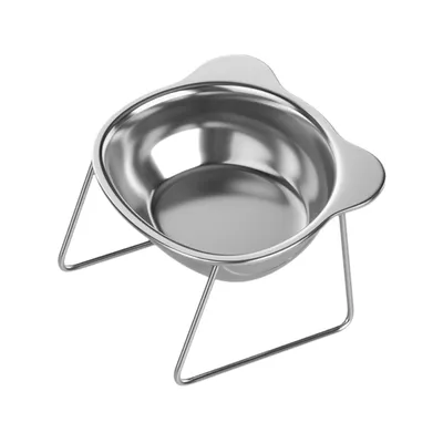KPYTE Gamelle surélevée en acier inoxydable pour chat et chien