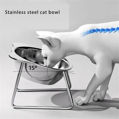 KPYTE Gamelle surélevée en acier inoxydable pour chat et chien