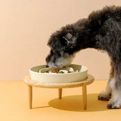 KPYTE Gamelle Slow Food pour chien avec support en bois