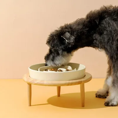 KPYTE Comedero para perros Slow Food con soporte de madera