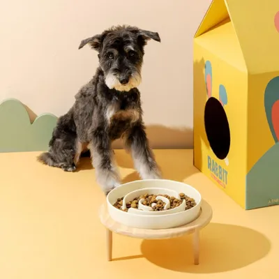 KPYTE Comedero para perros Slow Food con soporte de madera