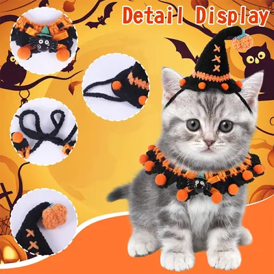 Costume Squelette Pour Grand Chien - Tissu Respirant Polyester/Spandex - Pour Halloween, Noël, Cosplay - Tailles L à 3XL