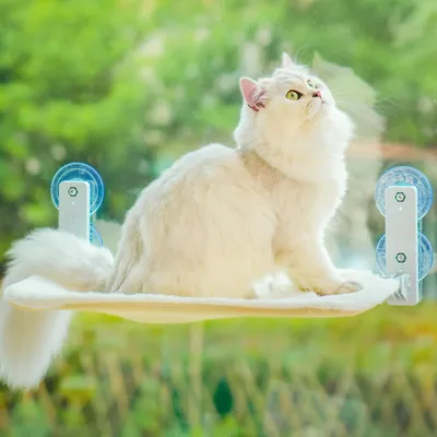 KPYTE Hamac à ventouse pour chat