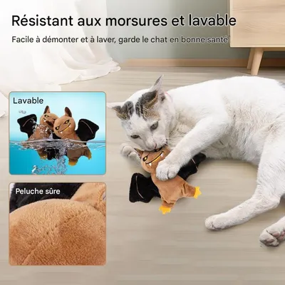 ZooVenture Jouet Interactif Automatique pour Chat - Forme Chauve-souris