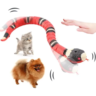 KPYTE Jouet pour chat à induction électrique