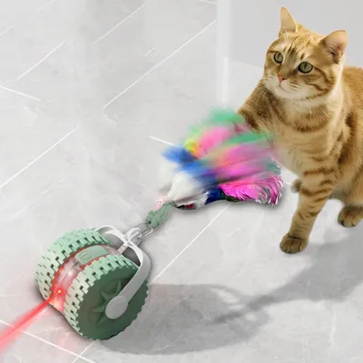 KPYTE Teaser laser infrarouge pour chat