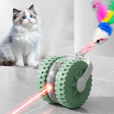 KPYTE Teaser laser infrarouge pour chat