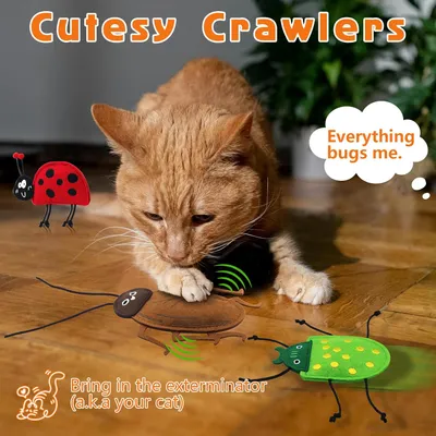 KPYTE Jouet pour chat à l'herbe à chat Bug