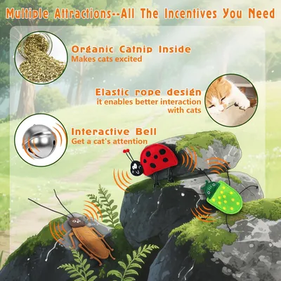 KPYTE Jouet pour chat à l'herbe à chat Bug