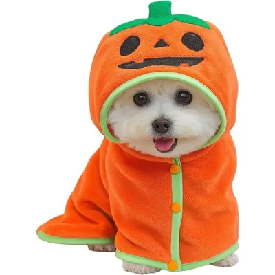 ZooVenture Super saugfähiger Halloween-Bademantel für Hunde und Katzen