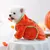 ZooVenture Halloween-Bademantel Kürbis für Hunde & Katzen