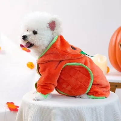ZooVenture Halloween-Bademantel Kürbis für Hunde & Katzen