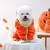 ZooVenture Halloween-Bademantel Kürbis für Hunde & Katzen
