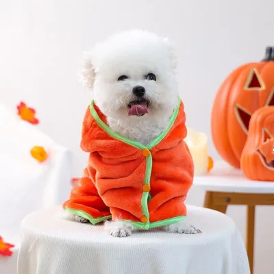 ZooVenture Halloween-Bademantel Kürbis für Hunde & Katzen