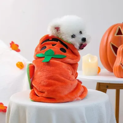 ZooVenture Halloween-Bademantel Kürbis für Hunde & Katzen
