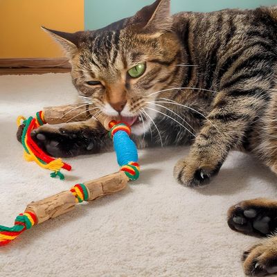 Corde de dentition pour chat