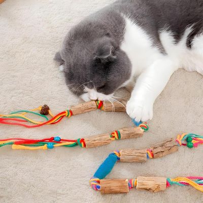 Corde de dentition pour chat