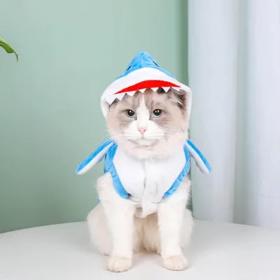 ZooVenture Sweat à Capuche Requin Halloween pour Chien et Chat