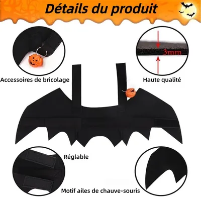ZooVenture Costume Chauve-Souris Halloween pour Chien et Chat